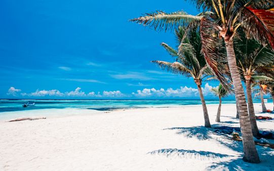 blivale_mexico_akumal_beach_541x360 image blivale_mexico_akumal_beach_541x360 Are you planning your trip to Mexico? Suggestions of what to see