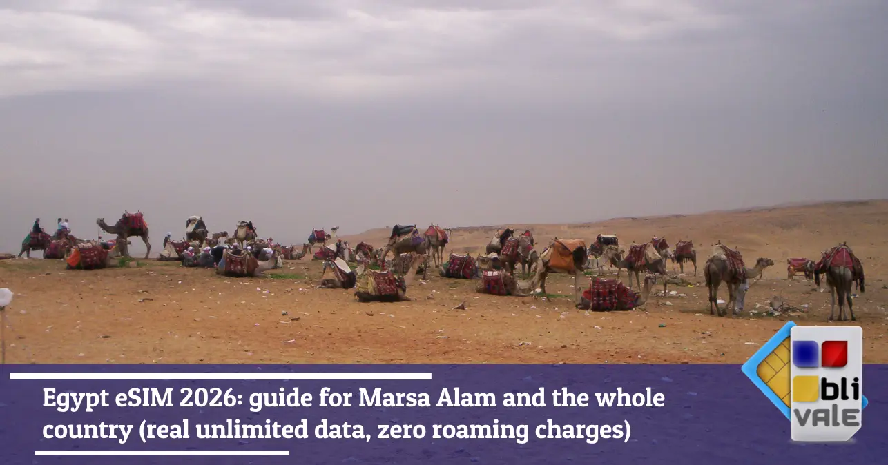 blivale-en-egypt-esim-marsa-alam-643x337 Blog