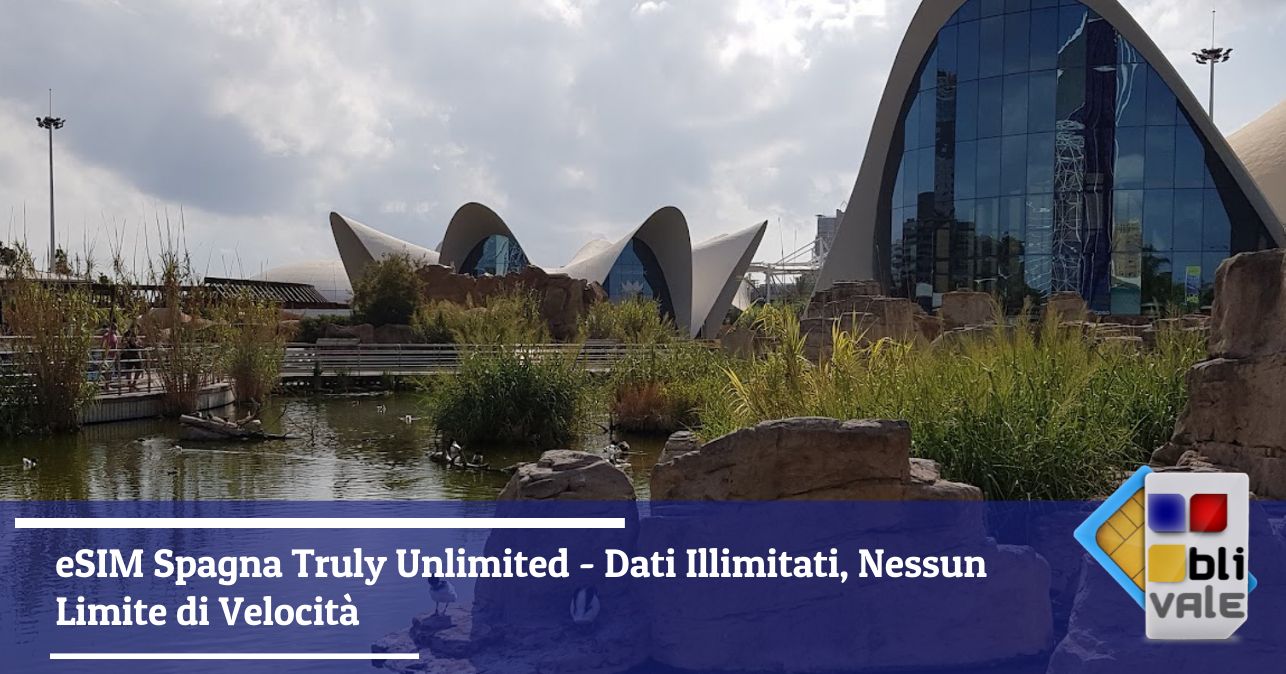 blivale-it-esim-spagna-proof-of-usage-48gb-643x337 eSIM Spagna Truly Unlimited - Dati Illimitati, Nessun Limite di Velocit&agrave;