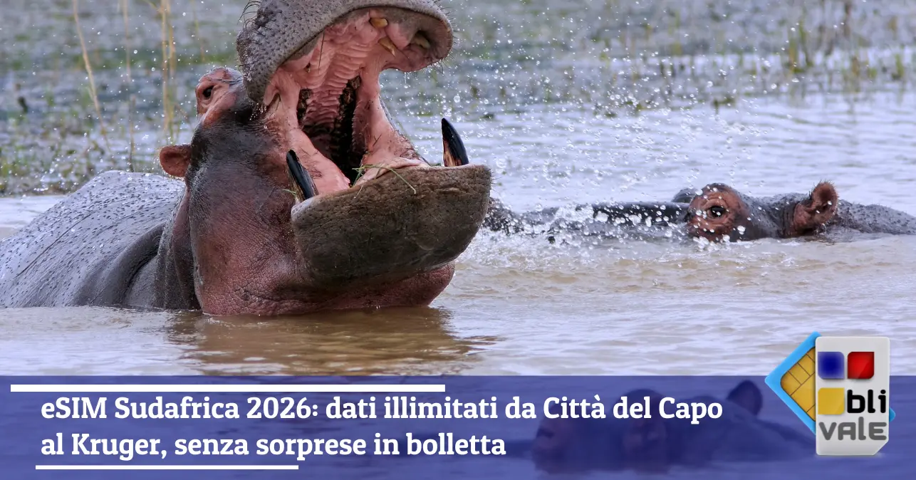 blivale-it-esim-sudafrica-illimitata-643x337 eSIM Sudafrica 2026: dati illimitati da Citt&agrave; del Capo al Kruger, senza sorprese in bolletta